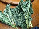 羽衣甘蓝新鲜生鲜蔬菜嫩叶甘兰芥蓝西餐沙拉榨汁减肥减脂 羽衣甘蓝减脂尝鲜装1斤 实拍图