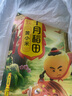 十月稻田 黄小米 可溯源  2.5kg 小米 五谷杂粮 粥米 早餐小米粥 5斤 实拍图