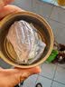 多美鲜德国进口奶酪 多美鲜布里奶酪125g 必然芝士烹饪搭配红酒水果白霉 琪雷萨布里 实拍图
