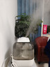 小熊（Bear）【130°高温除菌】加湿器 家用卧室婴儿大雾量空气加湿净化器 办公桌面小型加湿器香薰盒JSQ-F50A1 实拍图