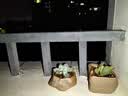 花盆底孔防漏土垫网防虫多肉垫片网格布垫花盆漏水孔垫片盆底网 10x10厘米（10片） 实拍图