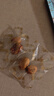 福东海 去皮去核红枣礼盒2斤 特级新疆灰枣免洗即食零食煲汤 独立小袋 实拍图
