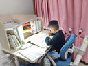 中沪爱童 新品儿童书桌家用写字桌可升降中小学生实木儿童学习桌椅套装 1.0M抗菌实木桌+经典02蓝追背椅 实拍图