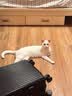 pidan猫砂 木薯猫砂混合膨润土猫砂 快速吸水易结团 2.4kg款8包装 实拍图