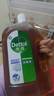 滴露消毒液衣物除菌液洗衣消毒水1.8L杀菌除螨家居衣物消毒除菌松木香 实拍图