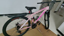 飞鸽（FLYING PIGEON）山地自行车成人男女变速山地车青少年中小学生车越野户外骑行单车 【铝合金】G8002代-辐条轮-粉色 26寸轮组（适合160-180cm） 21速入门版 实拍图