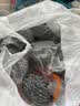 升级款实心香瓜型钢丝球8*6cm30g厨房灶台锅碗瓢盆清洁去污 升级款8个 实拍图