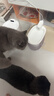 鳥語花香猫咪无线自动饮水机不插电循环流动宠物喝水器喂水器猫碗鸟语花香 无线饮水机【推荐款】 实拍图