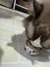 维倍思 绿十字猫罐头全价主食湿粮利尿清热泌尿罐85g 实拍图