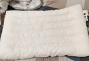 拉芙菲尔五星级酒店枕头抑菌可水洗成人家用高弹枕芯单人 一对拍2 实拍图