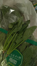 【24小时菜】菠菜苗400g(长度≤20cm) 实拍图