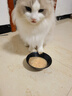 顽皮（Wanpy）三文鱼猫罐头80g*24罐（汤汁型）出口级 猫咪零食happy100果饭儿 实拍图