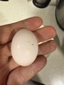 保卫蛋蛋新鲜鸽子蛋农家孕妇宝宝杂粮喂养送礼礼盒年货节礼盒送礼 店长推荐丨鸽子蛋30枚（550g+） 实拍图