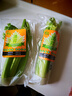 轻食高原生鲜清芹榨汁芹菜新鲜蔬菜低脂脆嫩水果西芹-胖东来同款 2包（200-300克每包）顺丰包邮 实拍图