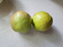 隰县玉露香梨 【顺丰现货】整箱香梨当季水果山西隰县小西天特产 孕妇水果送礼 12粒特大果（净重约9斤）90+mm 实拍图