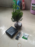 开时果 小叶赤楠盆景摆件 办公室桌面绿植花卉好养盆栽植物源头直发包邮 【热销款】舍得紫砂盆+黑石+底座 实拍图