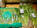 带根香菜100g 实拍图
