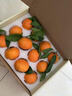 象山红美人 象山红美人【JD顺丰-多地次日达】新鲜果冻橙红美人柑橘水果礼盒 【多人选购-超划算】12枚 单果约200g+ 7A级【自吃推荐-锁鲜装】颗颗甄选 实拍图