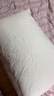 霞珍 柔软羽毛枕头 酒店鹅毛枕 全棉羽绒羽毛枕芯 单只装 实拍图