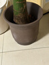 oeny紫砂花盆透气防烂根特大号口径种树种菜高颜值大花盆陶瓷花盆批发 透气高直筒特大号 紫砂 实拍图