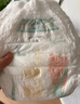 babycareAir pro拉拉裤夏季超薄透气尿不湿宝宝尿片bbc婴儿新生儿日用尿布 L 1包 38片 实拍图