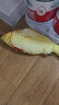 憨憨乐园猫玩具鱼猫薄荷逗猫猫抱枕草鱼幼猫宠物仿真猫咪鱼玩具非电动HD 实拍图