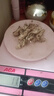 金蝉花250g蝉花 知了虫草金蝉花滋补煮水喝煲汤泡酒料 金蝉花100克 实拍图