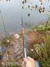 达亿瓦（DAIWA）一击 轻量鲤鱼鲫鱼草鱼罗非 进口鱼竿手杆 轻硬挺 休闲台钓 3.6m 一击F一代 36(综合) 不支持使用/试用后退换货 实拍图