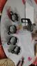【京东物流】茶壶套装整套茶具大容量玻璃茶杯带滤网耐高温泡茶具 1000ML一壶+四杯套装【无茶盘】 实拍图
