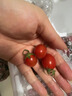 顺丰正宗海南千禧小番茄圣 女果5斤新鲜水果小西红柿水果番茄mh 3斤 实拍图
