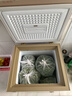 荣事达（Royalstar）小冰柜家用小型冷冻保鲜迷你冷藏商用卧式冷柜单用储母乳柜节能省电 【一级节能 全国联保】微霜款 86L 实拍图