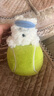 babycare&BCTOYS电动毛绒跳跳球婴儿学说话复读玩具0-1岁宝宝-西高地 实拍图