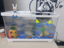 阔庭（KUOTING）缸水族箱生态桌面鱼缸新款懒人鱼缸生态造景过滤制氧一体机白色 实拍图