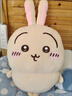 名创优品（MINISO）chiikawa吉伊道具款坐姿公仔毛绒玩偶儿童玩具娃娃抱枕生日礼物女 实拍图