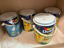 多乐士（Dulux） 森呼吸竹炭全效无添加净味儿童漆 内墙乳胶漆墙面油漆涂料A8106 15L套装 白漆 不可调色 实拍图
