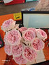 芊芊细语斗南基地直批发玫瑰鲜花全国速递配送女友礼物家用水养插花家庭 粉荔枝玫瑰18支+2支防损 实拍图