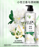 碧然德（BRITA）家用净水壶 滤水壶滤芯 MAXTRA+LE 去水垢专家滤芯 6枚装 实拍图