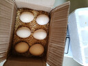 大码鸡蛋50g正负5g/枚散养土鸡蛋新鲜鸡蛋溏心蛋早餐必备京东包邮 6枚土鸡蛋50g 实拍图