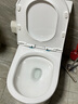 东鹏（DONGPENG）十大品牌马桶坐便器大冲力虹吸静音连体座便器小户型马桶 【升级版W6391A05】 300坑距 实拍图
