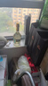 汾酒 黄盖玻汾 清香型白酒 53度 475mL*6瓶 整箱装非原箱 实拍图