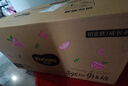 好奇（Huggies）铂金装小桃裤成长裤XL96片(12-17kg)加大号尿不湿【透爽散热】 实拍图