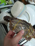 梭子蟹鲜活特大野生舟山大螃蟹海鲜新鲜冷冻海蟹水产飞蟹白蟹顺丰 3-5两/只 【净重3斤舟山梭子蟹】 实拍图