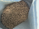 伯纳天纯中大型犬全价成年犬粮金毛宠物主粮羊肉蔓越莓15kg/30斤 实拍图
