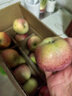 绿水秦川水果X颜色随机 1个 实拍图