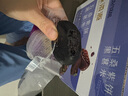 味滋源 五黑桑葚紫米饼300g盒装饱腹早代餐粗粮下午茶传统中式糕点 实拍图