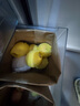 Keep彩色浸塑哑铃男女健身女士手臂塑形力量训练 薄荷绿 1.5kg*2 实拍图