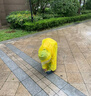 牧萌儿童雨衣带书包位男女童全身防水学生上学轻便TPU雨披 黄果冻 3XL 实拍图