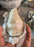 老蟹将 鲜活乳山生蚝 生态水域现捞牡蛎特大刺身级品质烧烤食材中秋送礼 4XL 5斤(包活到家) 实拍图