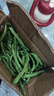高山四季豆新鲜应季蔬菜豆角豆青现摘现发炒熟食用京东物流 带箱2斤 实拍图