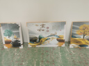 诗六艺家饰客厅装饰画北欧现代简约沙发背景墙挂画三联画大气轻奢壁画晶瓷画 家和富贵A（铝合金外框） 镶钻画左右50*70+中间100*70亮面 实拍图